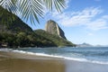 Sugarloaf Mountain Rio Brazil Palm Fronds