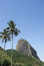 Sugarloaf Mountain Rio Brazil Palm Trees