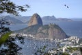 The Sugarloaf Mountain Seen from Mirante Dona Marta in Rio de Janeiro, Brazil Royalty Free Stock Photo