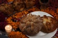 Sugary and traditional bread of the dead, celebrating dia de muertos with cempasuchilt flowers