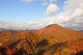 Sugawa and Autumn leaf color