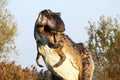 Suggestive reconstruction of Tyrannosaurus rex - Ostellato, Ferrara, Italy Royalty Free Stock Photo