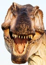 Suggestive reconstruction of Tyrannosaurus rex Royalty Free Stock Photo