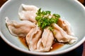 Sui Gyoza in a Japanese Bowl Royalty Free Stock Photo