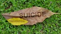 Suicide Prevention concept using dried leaves