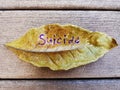 Suicide written on leaf