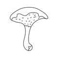 Suillus bovinus mushroom in doodle style