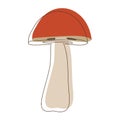 Suillus mushroom lineart. Edible Organic mushrooms. Truffle brown cap. Forest wild mushrooms types Royalty Free Stock Photo