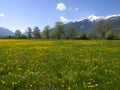 Suiss traditional spring landscape Royalty Free Stock Photo