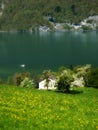 Suiss walensee traditional spring landscape Royalty Free Stock Photo