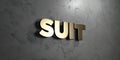 Suit - Gold sign mounted on glossy marble wall - 3D rendered royalty free stock illustration