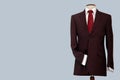 Suit Mannequin Royalty Free Stock Photo
