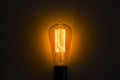 Old vintage edison bulb in the dark Royalty Free Stock Photo