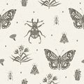 Seamless pattern with butterflies, insects and plants. Royalty Free Stock Photo