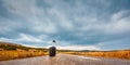 Suitcase with cap on empty road. Nature landscape and stormy sky. New journey, adventure and travel concept. Copy space Royalty Free Stock Photo