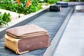 suitcase on a conveyor belt surrounded by green tropical plants in a baggage claim area at the airport Royalty Free Stock Photo