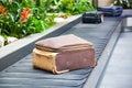 suitcase on a conveyor belt surrounded by green tropical plants in a baggage claim area at the airport Royalty Free Stock Photo