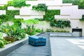 suitcase on a conveyor belt surrounded by green tropical plants in a baggage claim area at the airport Royalty Free Stock Photo