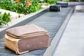 suitcase on a conveyor belt surrounded by green tropical plants in a baggage claim area at the airport travel background Royalty Free Stock Photo