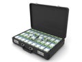 Suitcase with euro. 3d