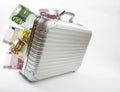 Suitcase with Euro bank notes Royalty Free Stock Photo