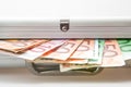 Suitcase with Euro notes Royalty Free Stock Photo