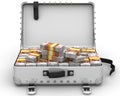 Suitcase full of Russian money