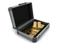 Suitcase with gold