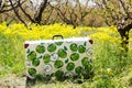 Suitcase in green grass on natural background Royalty Free Stock Photo