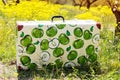 Suitcase in green grass on natural background Royalty Free Stock Photo