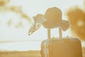 Suitcase and hat with background sunset Royalty Free Stock Photo