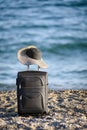 Suitcase and hat on beach Royalty Free Stock Photo
