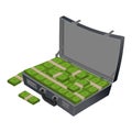 Suitcase with money. Case with cash. Suitcase with dollars. Wad