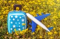 suitcase piggy bank airplane plastic toy on yellow flowers green grass or gray blanket,child baby hands.travel