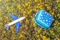 suitcase piggy bank airplane plastic toy on yellow flowers green grass or gray blanket,child baby hands.travel