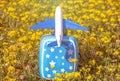 suitcase piggy bank airplane plastic toy on yellow flowers green grass or gray blanket,child baby hands.travel