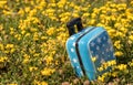 suitcase piggy bank airplane plastic toy on yellow flowers green grass or gray blanket,child baby hands.travel