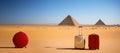 Suitcase sitting in the middle of a desert. Egypt pyramids on background. Minimalist touristic concept