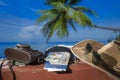 Suitcase, sun hat, photo camera, american money, passport and sunglasses with sea water, coconut palm tree and blue sky background