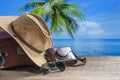 Suitcase, sun hat, photo camera and sunglasses with sea water, coconut palm tree and blue sky background on sunny summer day in Royalty Free Stock Photo