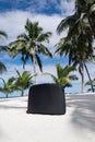 Suitcase on tropical sandy beach with palm trees - Upolu Island, Western Samoa, South Pacific - portrait orientation Royalty Free Stock Photo