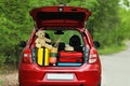 Suitcases, teddy bear and hat in car trunk Royalty Free Stock Photo