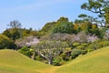 Suizenji Garden in Kumamoto, Japan Royalty Free Stock Photo
