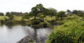 Suizenji Jojuen Garden, Kumamoto, Honshu Island, Japan Royalty Free Stock Photo