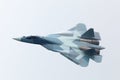 Sukhoi PAK FA T-50 Royalty Free Stock Photo