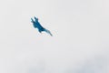 Sukhoi SU-30 Flanker-C, aerobatic team Russian Knights Royalty Free Stock Photo