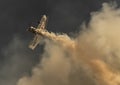 Sukhoi Su-31 plane, Jurgis Kairys Vostok Europe