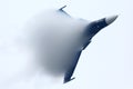 Sukhoi Su-34 of russian air force in Zhukovsky during MAKS-2013