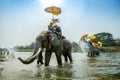 SUKHOTHAI - 2017 APRIL 7 : Sukhothai ordination parade on elephant back festival at Hadsiao Temple,Si Satchanalai from April 7 Royalty Free Stock Photo