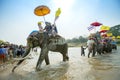 SUKHOTHAI - 2017 APRIL 7 : Sukhothai ordination parade on elephant back festival at Hadsiao Temple,Si Satchanalai from April 7 Royalty Free Stock Photo